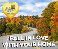 Ad gif. Old Dominion Reality logo decorates a pulsating gold heart in the top corner of an image of a winding road through a colorful stretch of autumn trees. Text at the bottom reads, "Fall in love with your home."