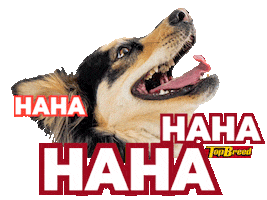 Universal Robina Sticker