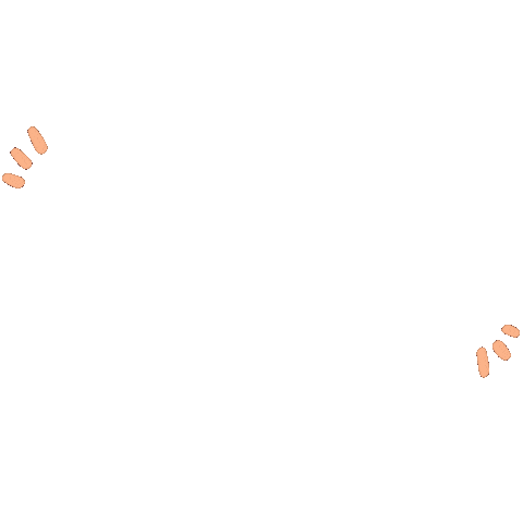 Text Typography Sticker