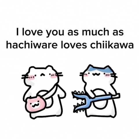 Cat Love GIF
