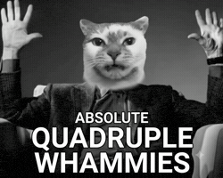 Cat Meme GIF