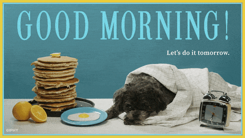 Good Morning Dog GIF by Originals - Find & Share on GIPHY