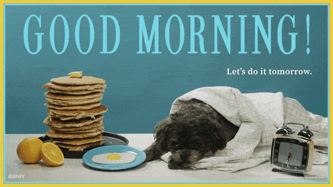 Good Morning Dog GIF by Originals - Find & Share on GIPHY Good Morning Dog GIF by Originals - Find & Share on GIPHY