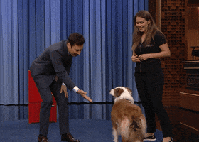 Tonight Show Omg GIF by The Tonight Show Starring Jimmy Fallon
