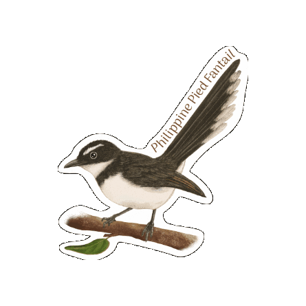 Fantail Sticker