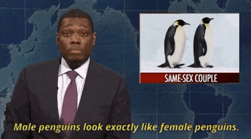 200.gif?cid=fc005b08fc39fdb4d6231195d91d1fc8f0ced8637f704352&rid=200.gif&ct=g