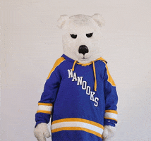 awesome oh yeah GIF by University of Alaska Fairbanks