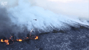 forest fire news GIF by NowThis 