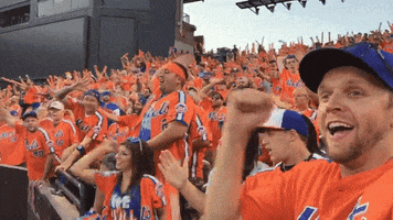 strike out citi field GIF by The 7 Line