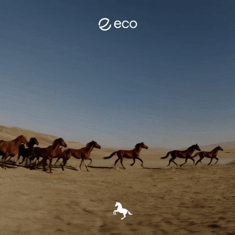 Uts GIF by Eco