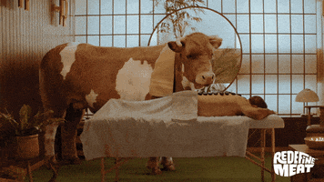 Cow Help GIF by Redefine Meat