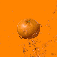 orange fruit citrus GIF