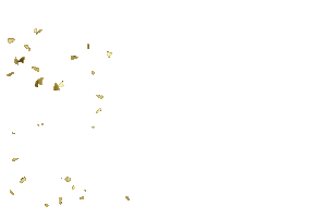 İstanbul Altınons Sticker