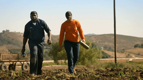 giphy.gif?cid=6c09b952skhjd0xlzsh3lcgx4i