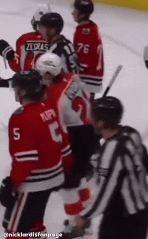Blackhawks Shove GIF