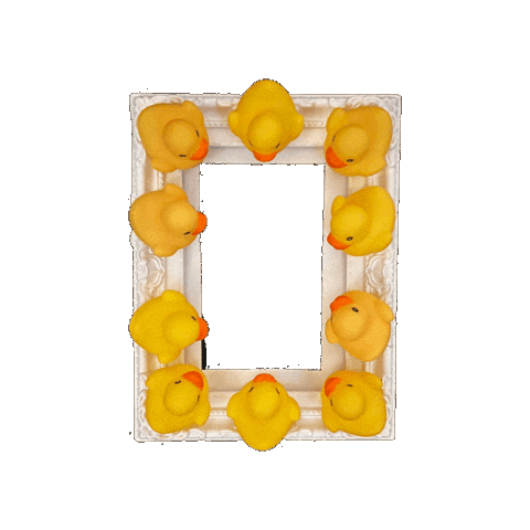 Duck Sticker