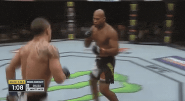 TRNGL  GIF