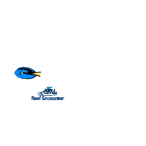 Reef Experience Sticker