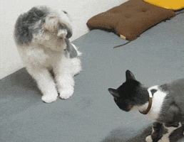 Friends Wow GIF