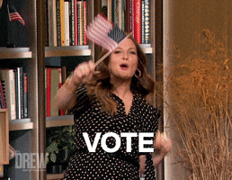 Vote Voting GIF by The Drew Barrymore Show