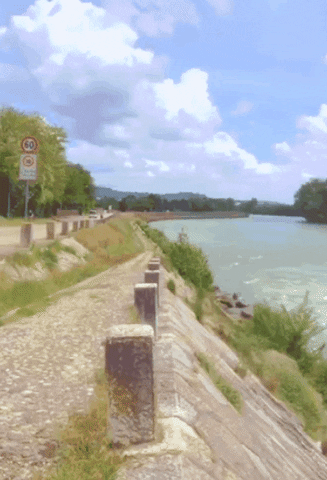 River Go GIF by Vespa Club Verona