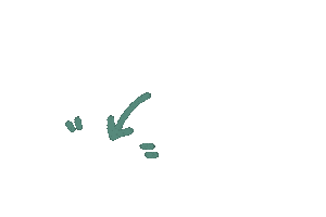 Point Sticker