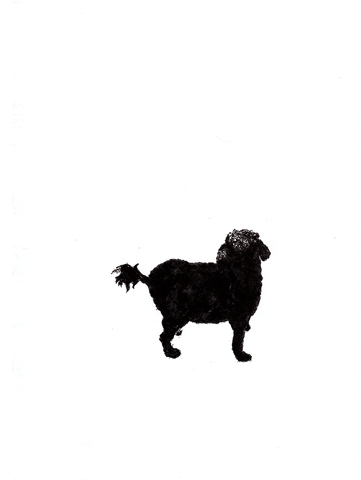 Dog GIF