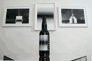 GaleriaPandea GIF