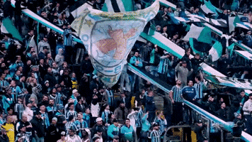Soccer Futebol GIF by Grêmio