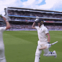 High Five London GIF by Lord's Cricket Ground