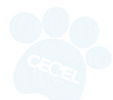 Cecel Vasconcelos Sticker