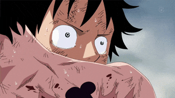 Ace One Piece Gifs Get The Best Gif On Giphy