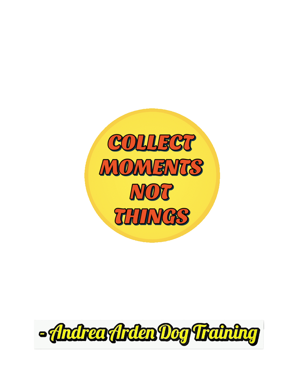 Dog Trainer Sticker for iOS & Android | GIPHY