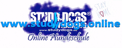 Hundezentrum_Studydogs hund hundeschule hundetraining studydogs GIF
