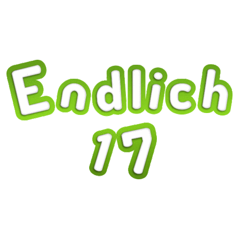 Das Begleitete Fahren ab 17 Sticker