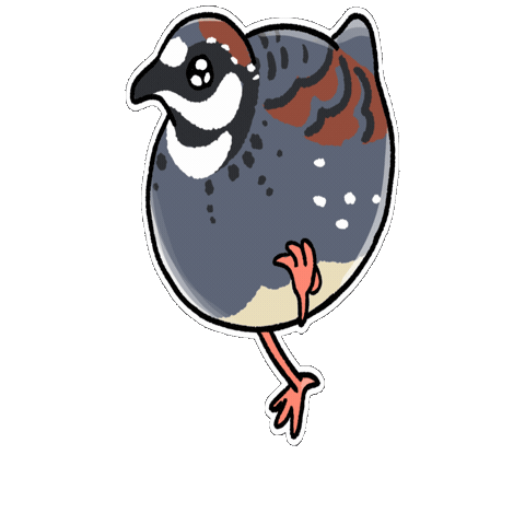 Firuo Sticker