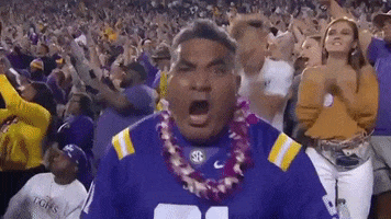 Lets Go Football GIF by ESPN