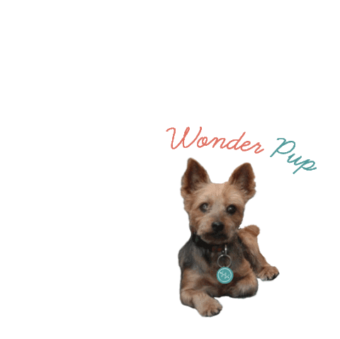 Teeth Smile Sticker by Wonderist Agency