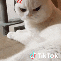 Angry Ho GIF by TikTok Italia