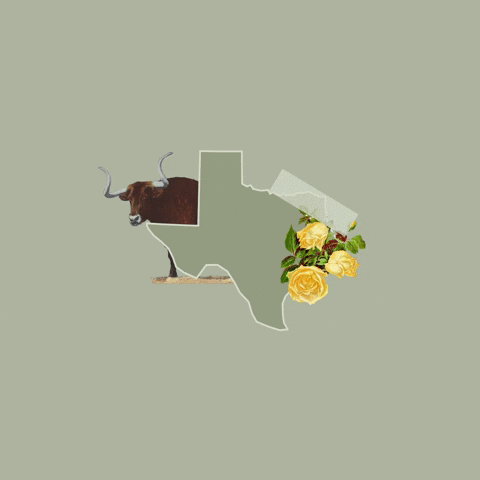 Texas Vote GIF by Crooked Media