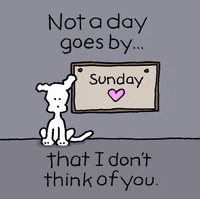 I Love You Gif By Chippy The Dog Find Share On Giphy