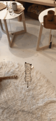 Kitty Laser GIF