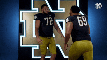 Notre Dame Banks GIF by Notre Dame Fighting Irish
