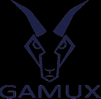 Racing Mtb GIF by GAMUX