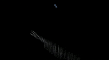 Schmidt & Villares Advogados GIF