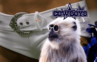 Dallas Cowboys Cheerleaders GIF