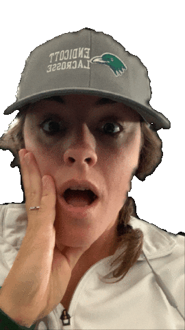 Sticker by Endicott Athletics