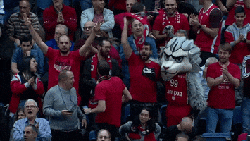 GIF by Basketball Champions League