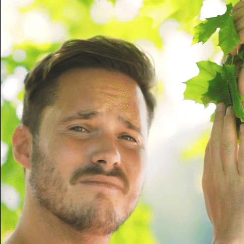 Leaf Der Schulte GIF