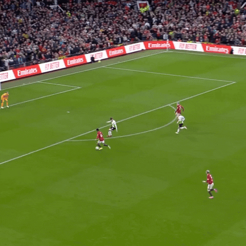 Fa Cup Win GIF by Manchester United